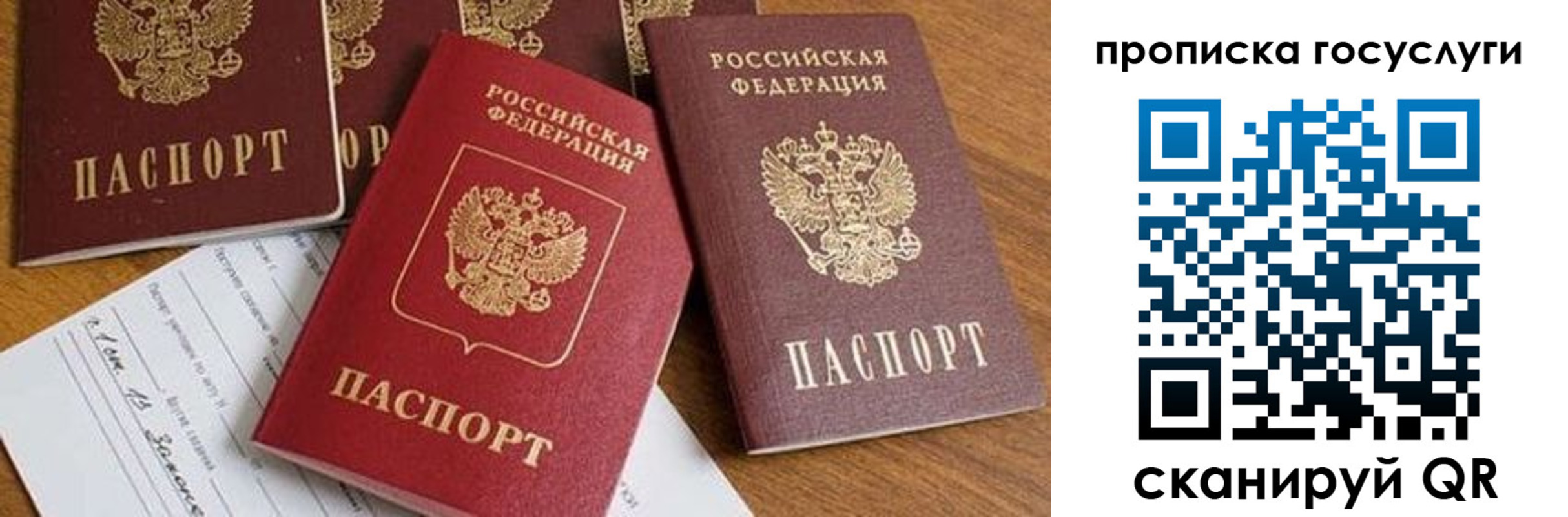 прописка ребенка в Болотном